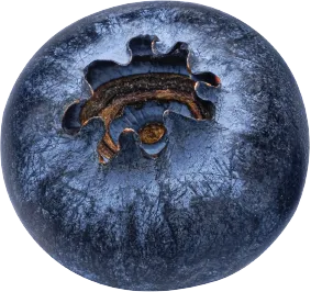 blueberry