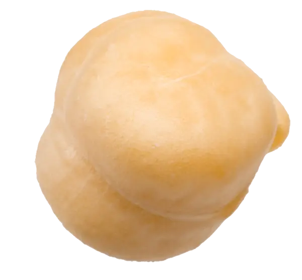 chekpea1