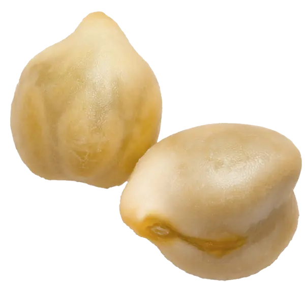 chekpea2