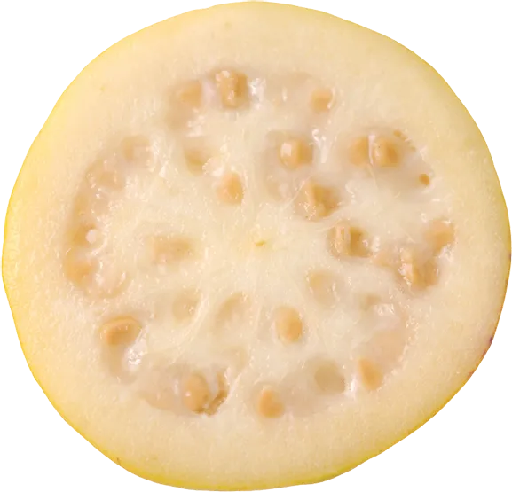 guayaba