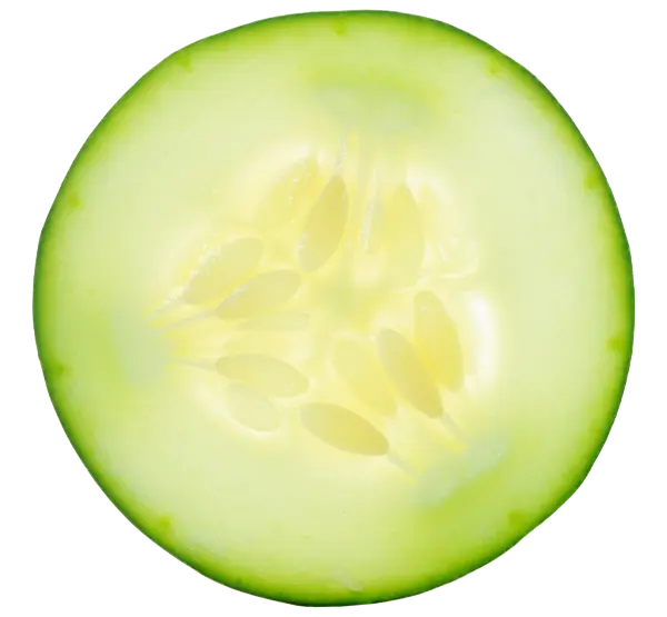 pepino