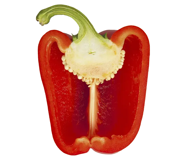 pimiento